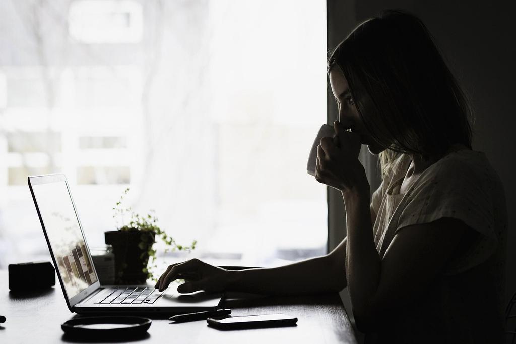 Browser documentation icon